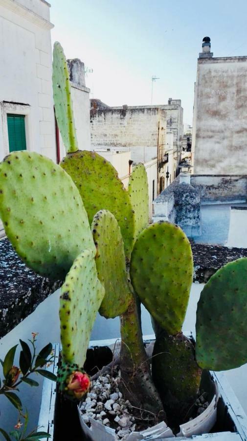 مبيت وإفطار بوجّاردو Il Borgo المظهر الخارجي الصورة